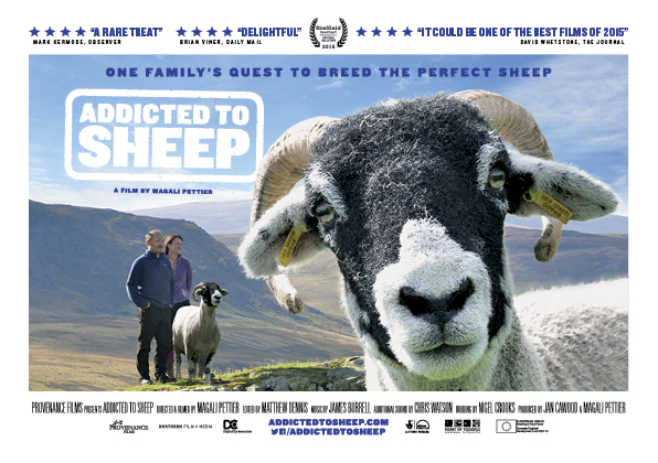 Addicted to Sheep cinema tour flyer