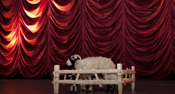 Addicted to Sheep at Tyneside cinema